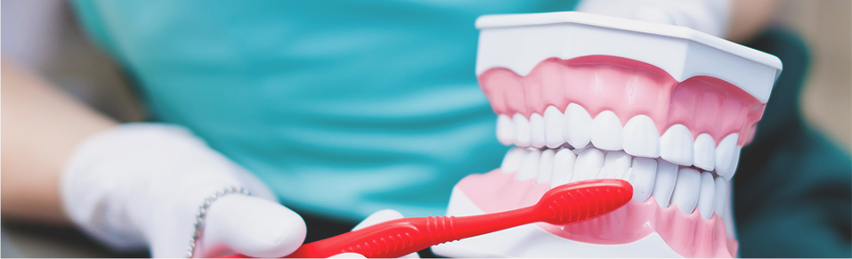   dental-supplier